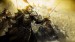 guild-wars-2-epic-battle-artwork-wallpaper